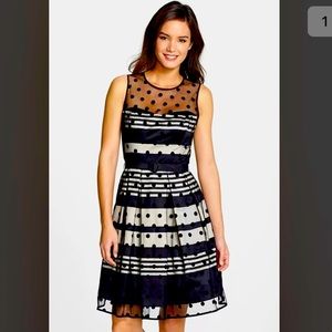 Eliza J Velvet Satin Stripe Polka Dot Dress